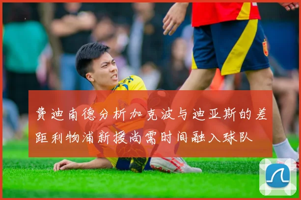 费迪南德分析加克波与迪亚斯的差距利物浦新援尚需时间融入球队