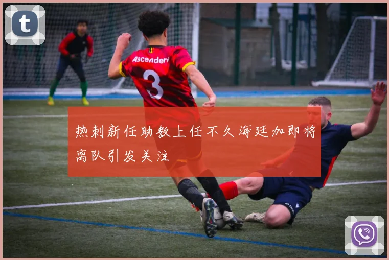 热刺新任助教上任不久海廷加即将离队引发关注