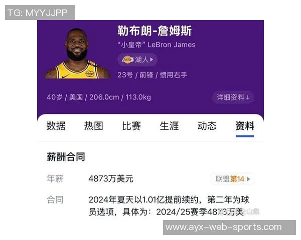 詹姆斯薪资空间影响湖人引援策略达5263万的深远影响